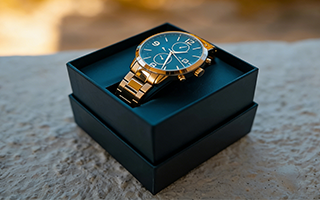 Watch/Wristwatch Box